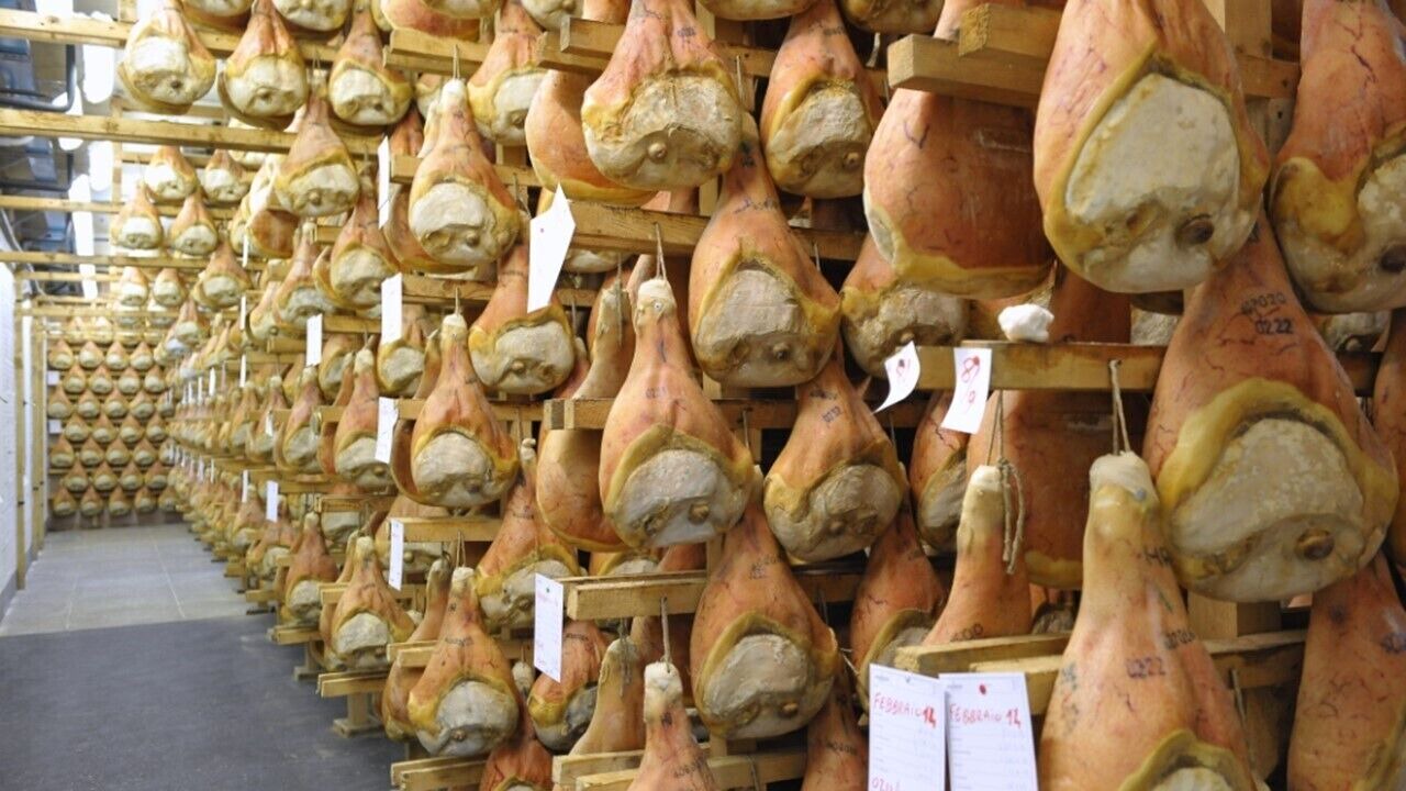 Photo of Others in Montagnana
