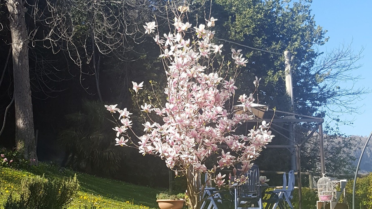 Photo of Outdoor in Vittorio Veneto