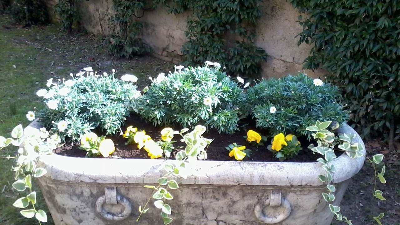 Photo of Outdoor in Vittorio Veneto