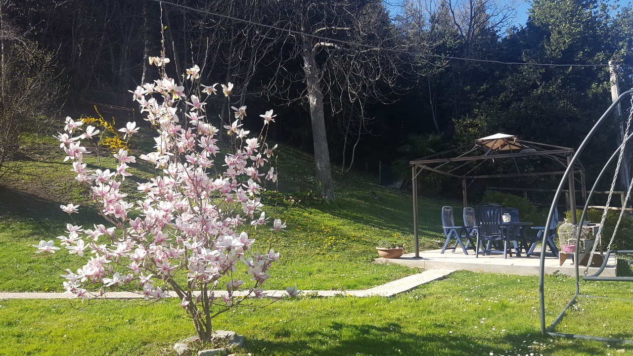 Photo of Outdoor in Vittorio Veneto