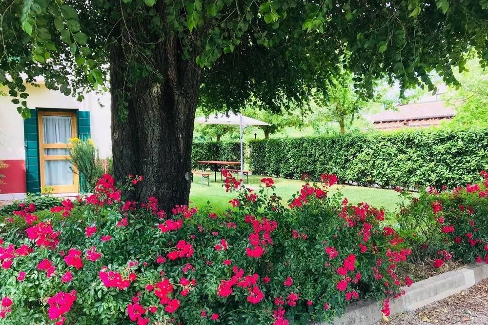 Photo of Outdoor in Martellago