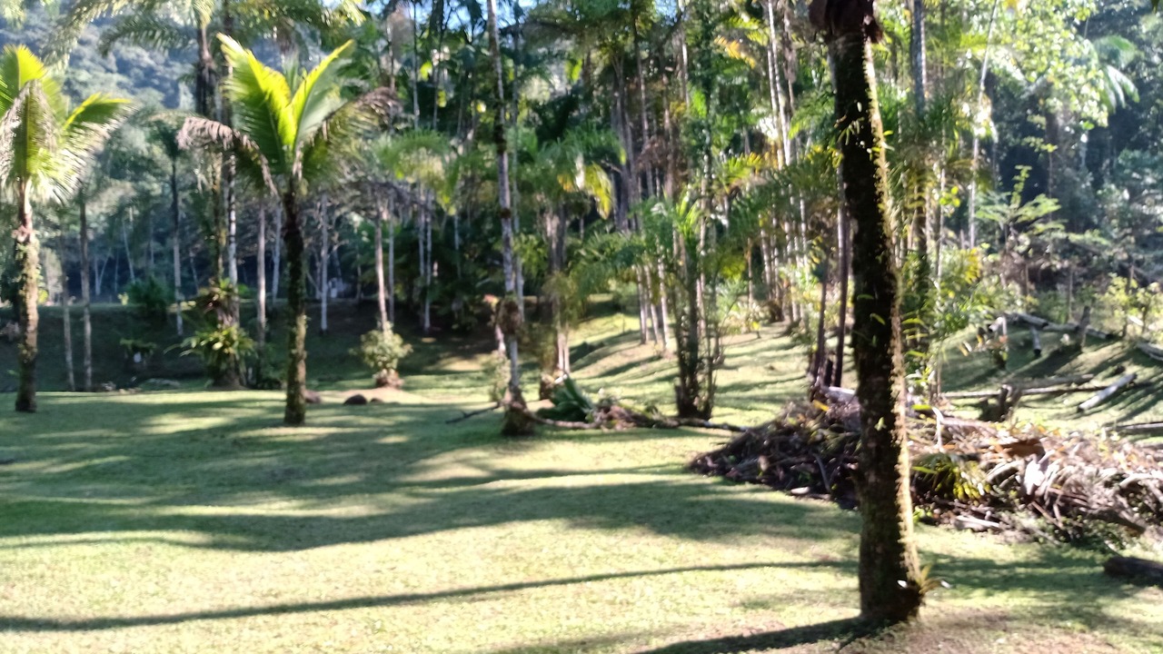 Photo of Outdoor in Paraty