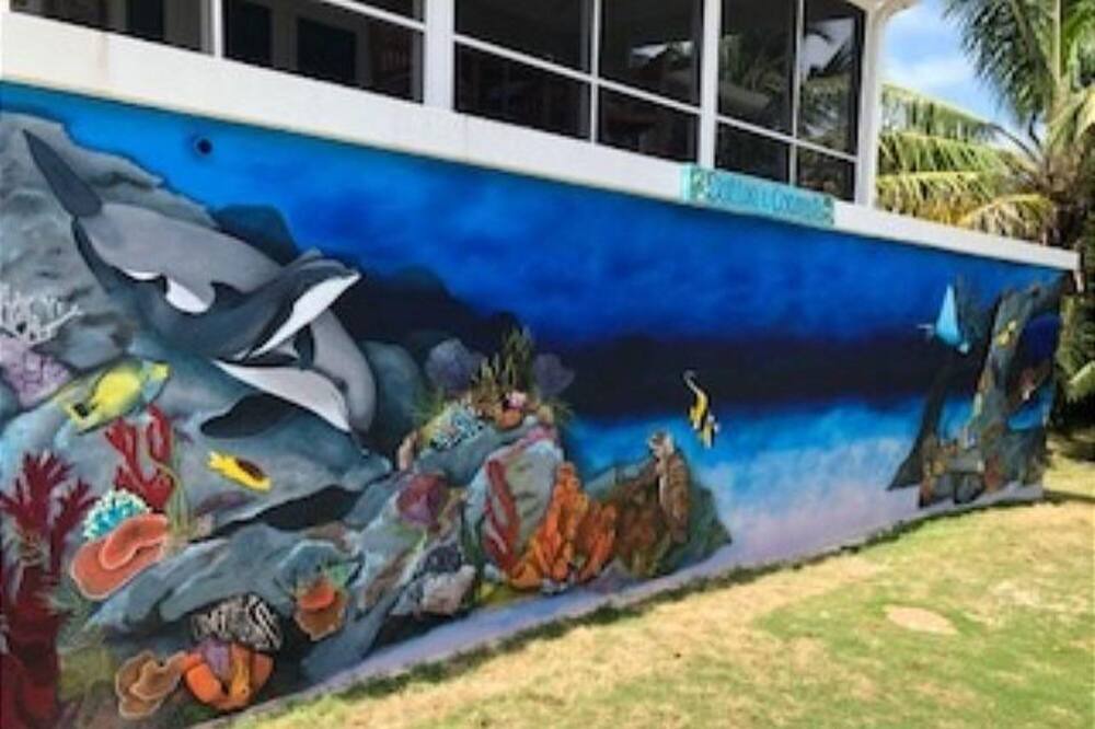 Photo of Outdoor in Rainbow Bay