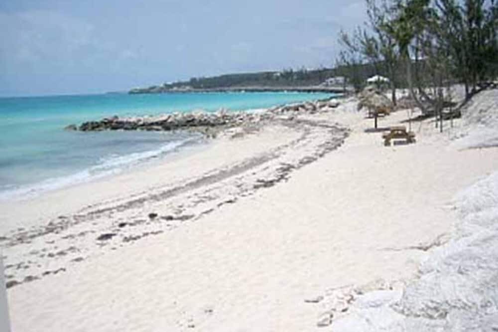Photo of Outdoor in Rainbow Bay