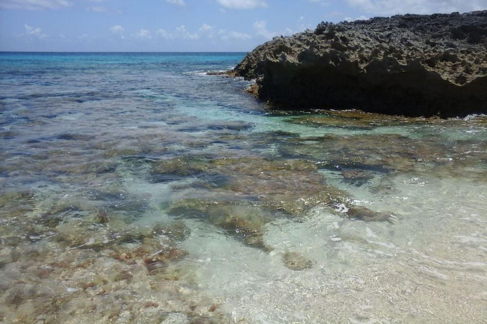 Photo of Outdoor in Rainbow Bay