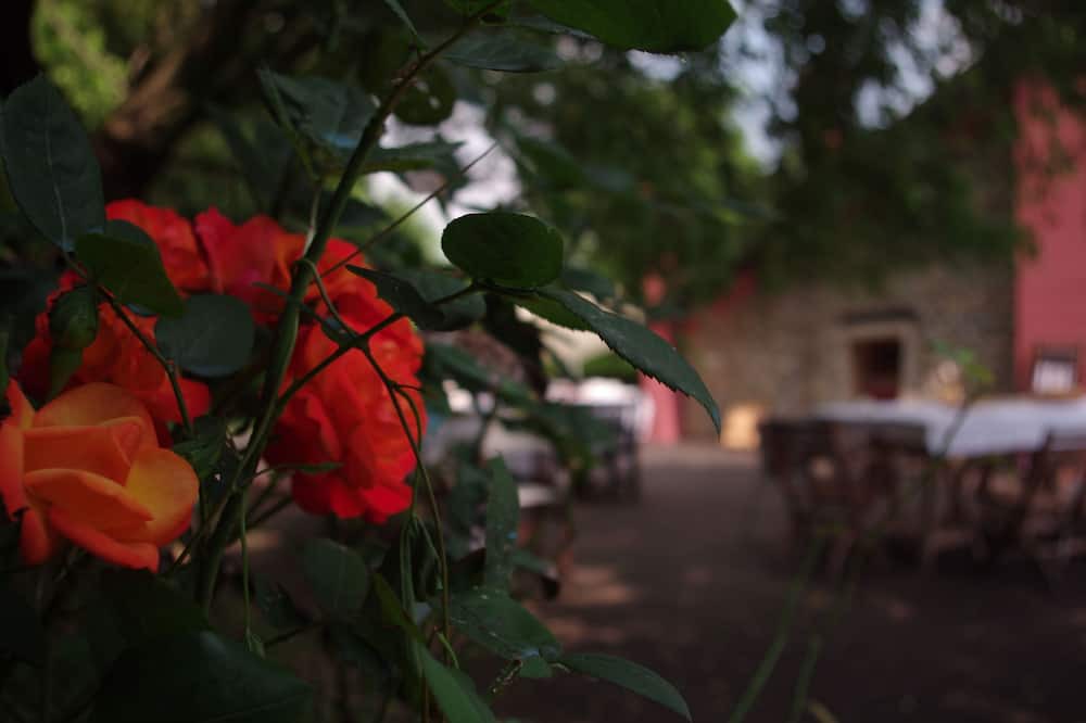 Photo of Outdoor in Castelgomberto