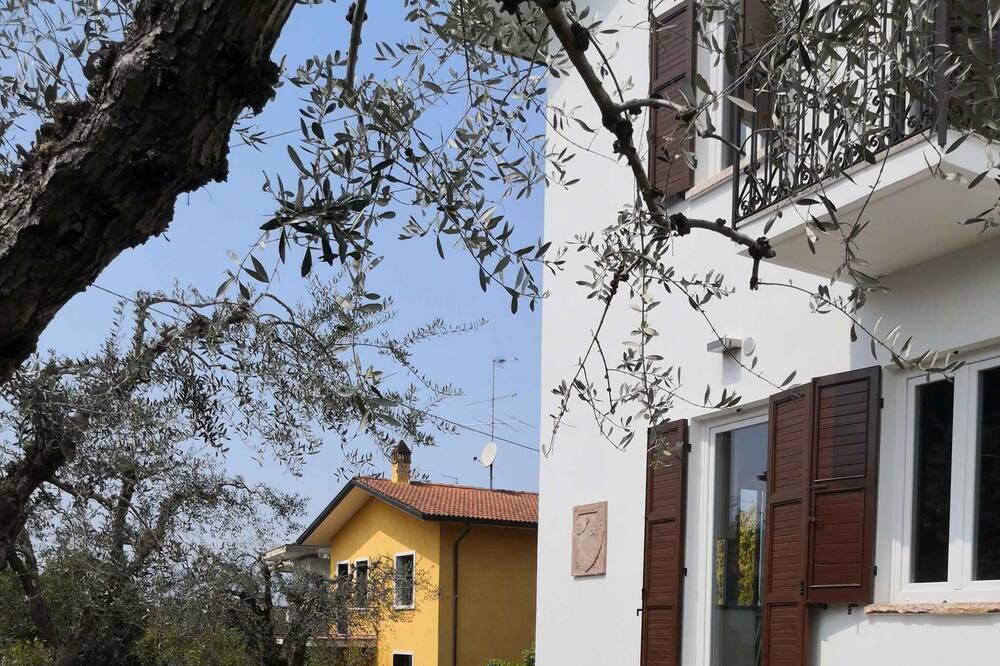 Photo of Outdoor in Lazise