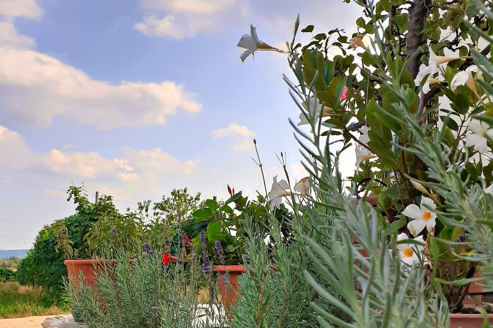 Photo of Outdoor in Farra di Soligo