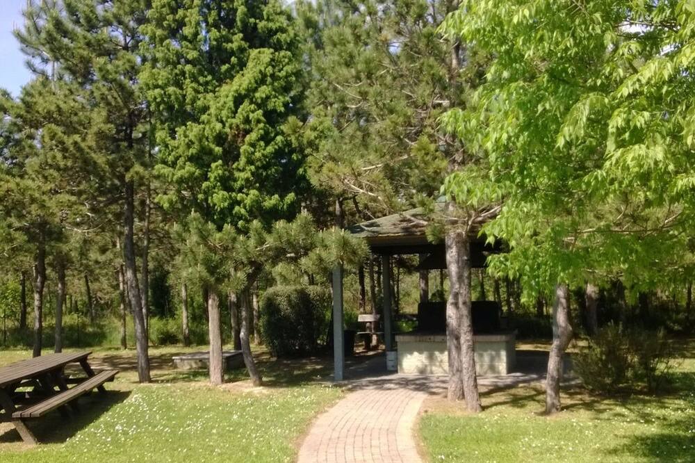 Photo of Outdoor in Bibione Lido del Sole