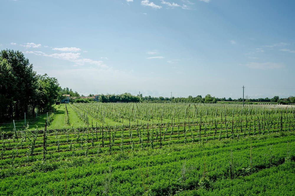 Photo of Outdoor in Cordignano
