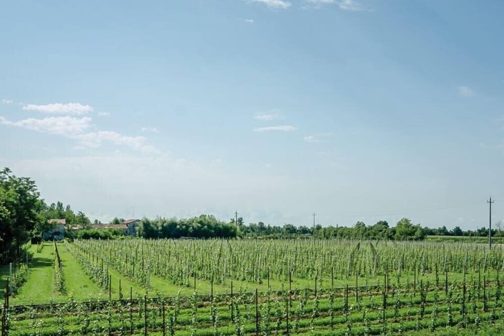 Photo of Others in Cordignano