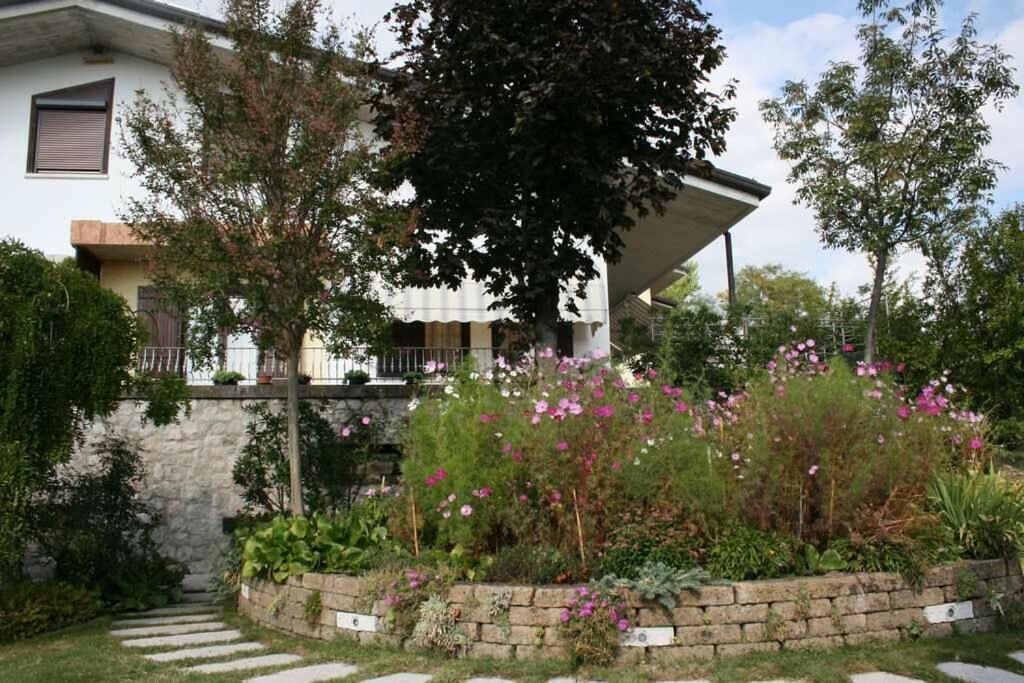 Photo of Outdoor in Carre