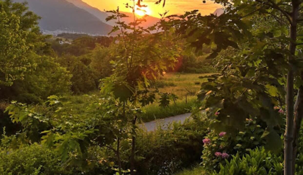 Photo of Outdoor in Carre