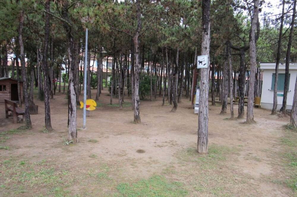Photo of Others in Bibione Lido del Sole