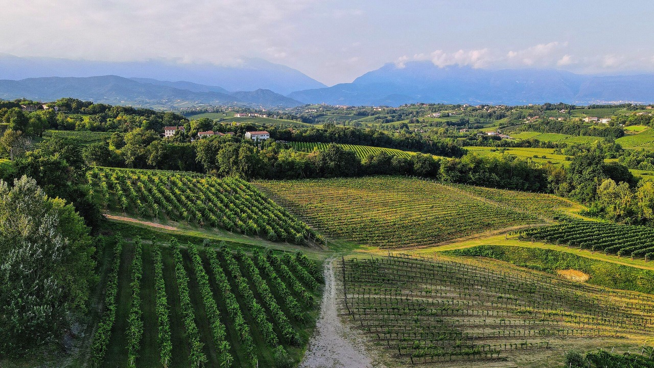 Photo of Outdoor in San Pietro di Feletto