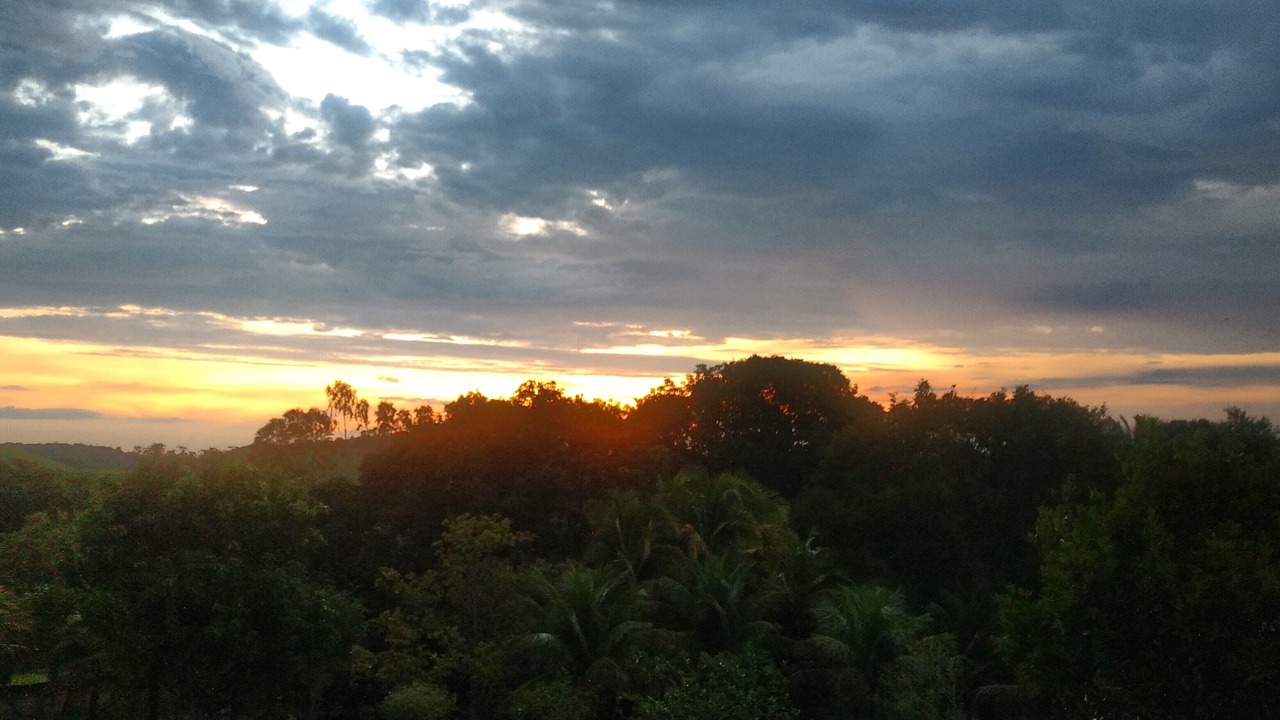 Photo of Outdoor in Cachoeiras de Macacu