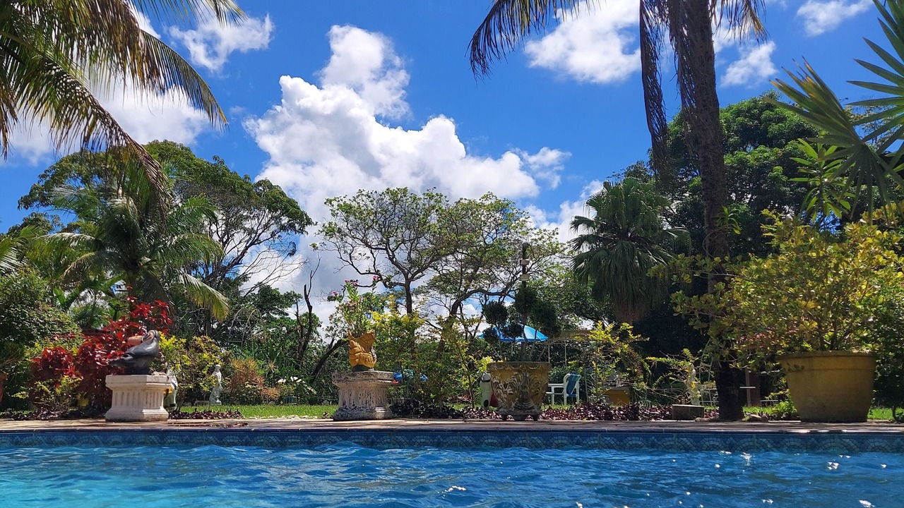 Photo of Outdoor in Cachoeiras de Macacu