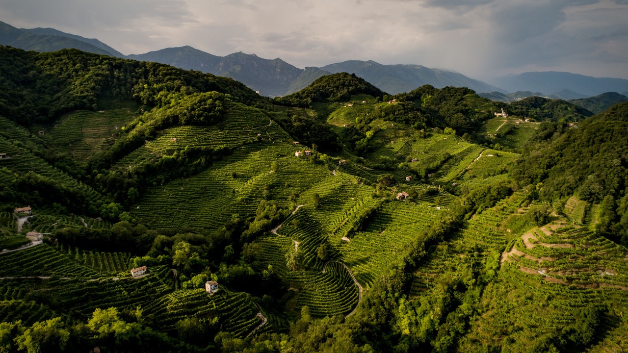 Photo of Outdoor in Col San Martino