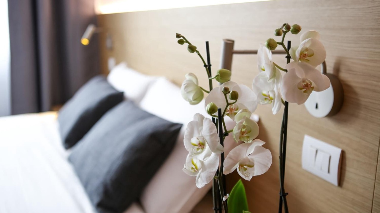 Photo of Bedroom in Sud-Ovest