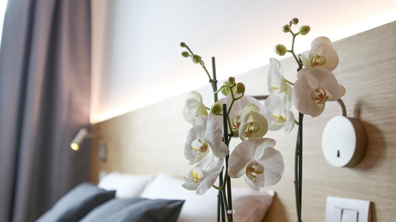 Photo of Bedroom in Sud-Ovest