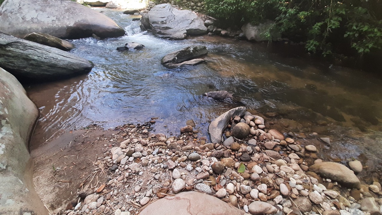 Photo of Outdoor in Sao Pedro da Serra