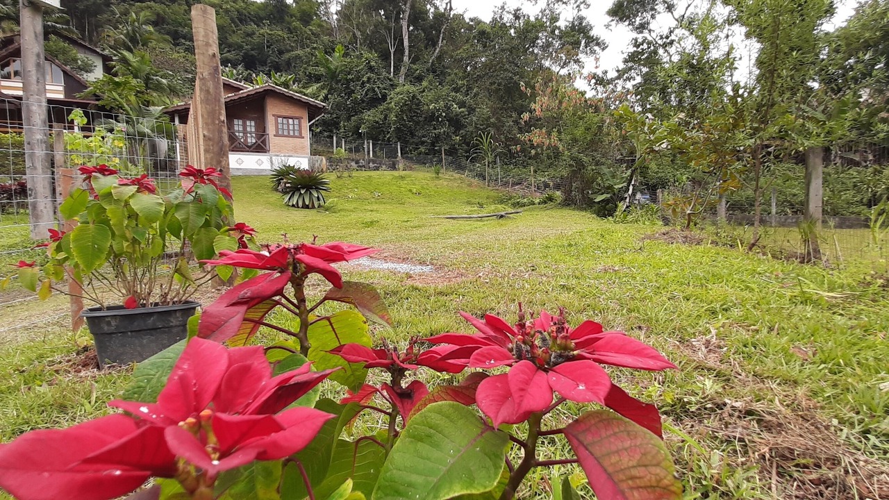 Photo of Outdoor in Sao Pedro da Serra