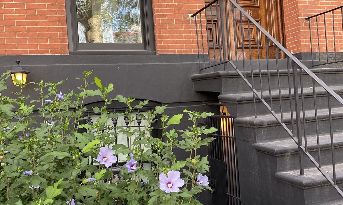 Photo of Outdoor in Boerum Hill