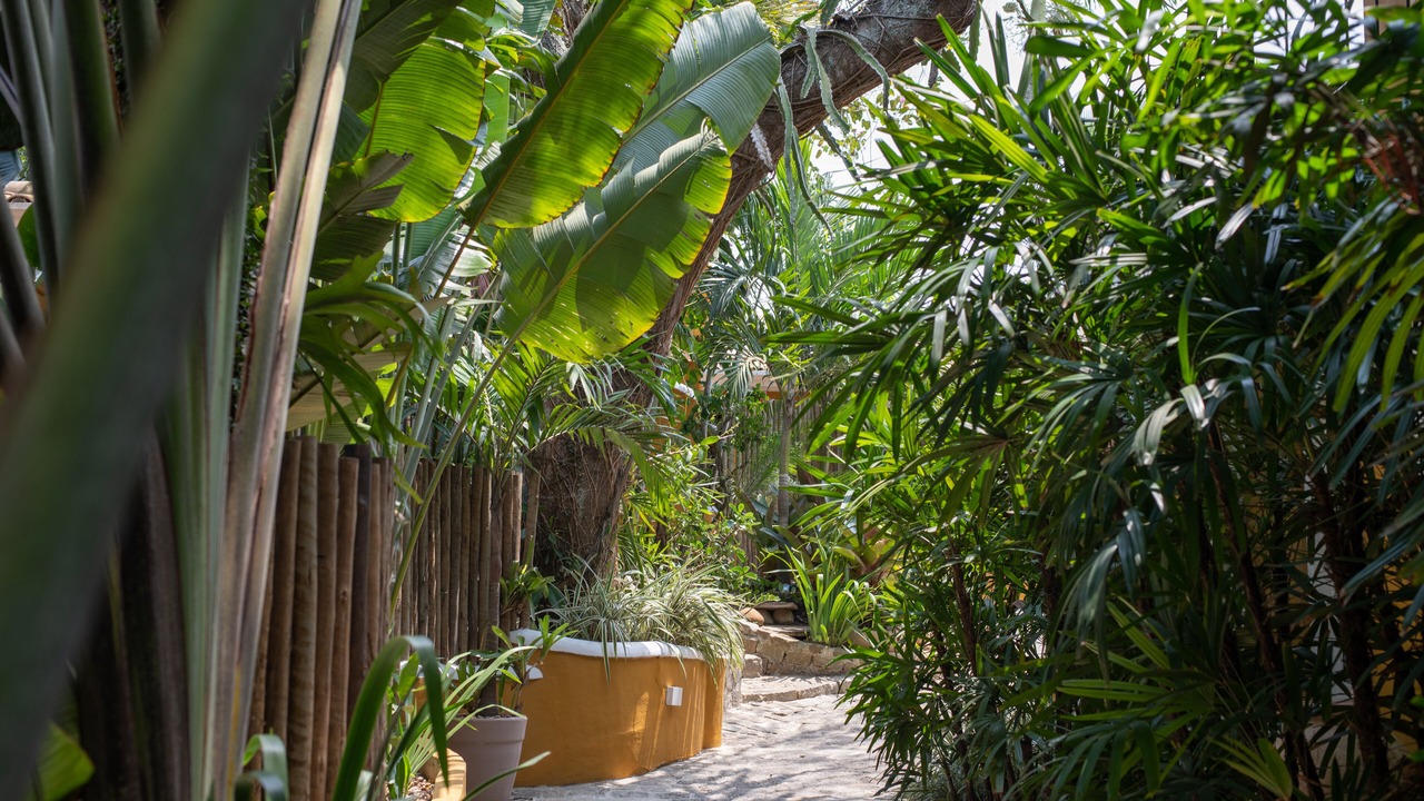 Photo of Outdoor in Humaita