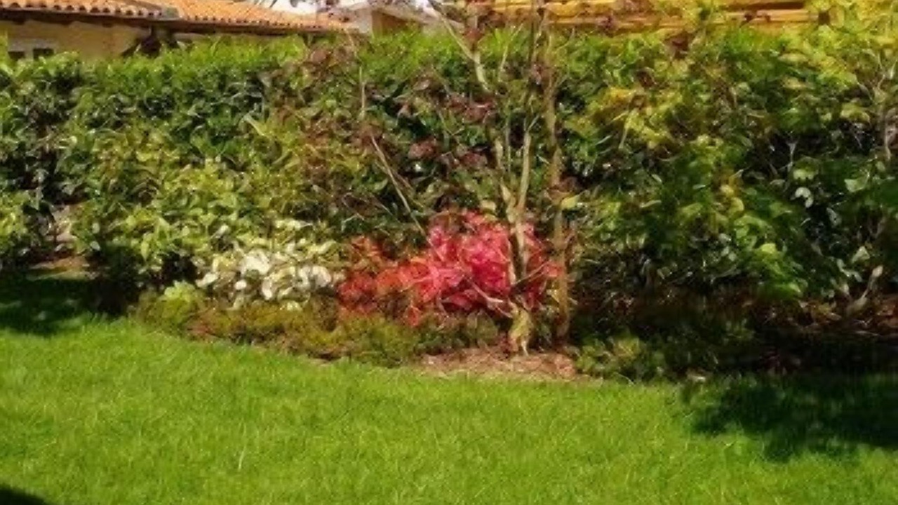 Photo of Outdoor in Portogruaro