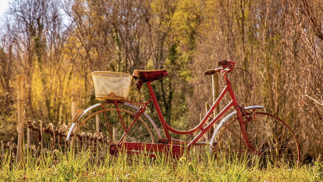 Photo of Outdoor in San Pietro di Feletto