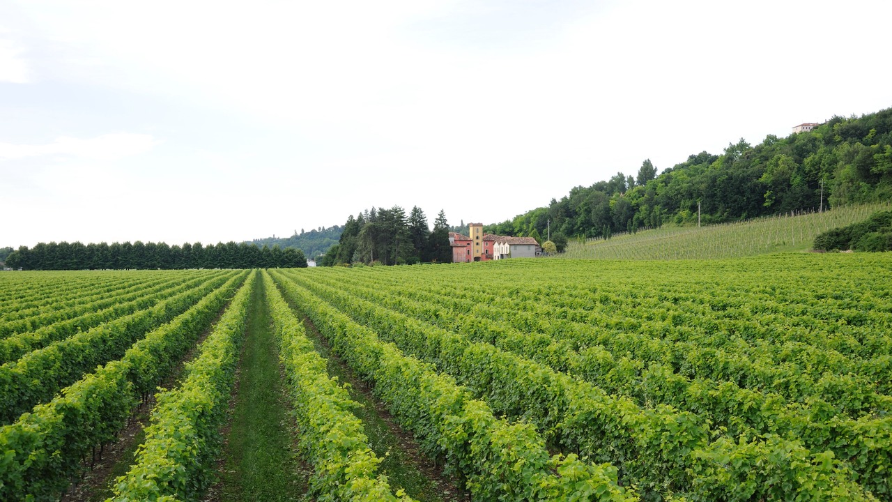Photo of Outdoor in San Pietro di Feletto