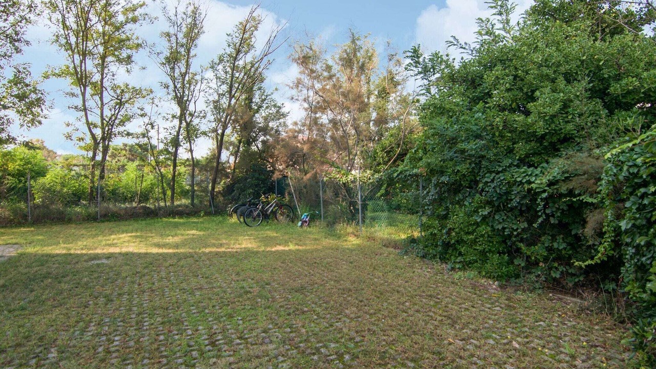 Photo of Outdoor in Rosolina Mare
