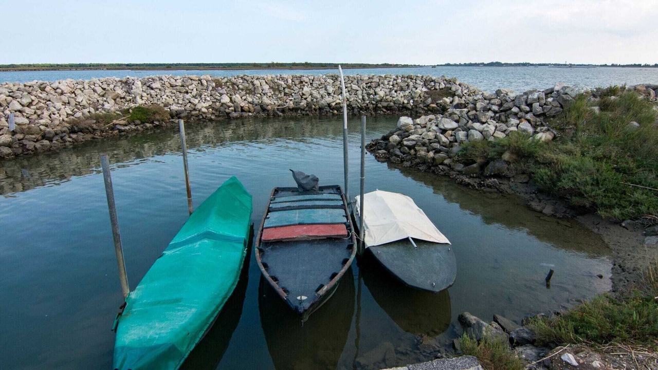 Photo of Outdoor in Rosolina Mare