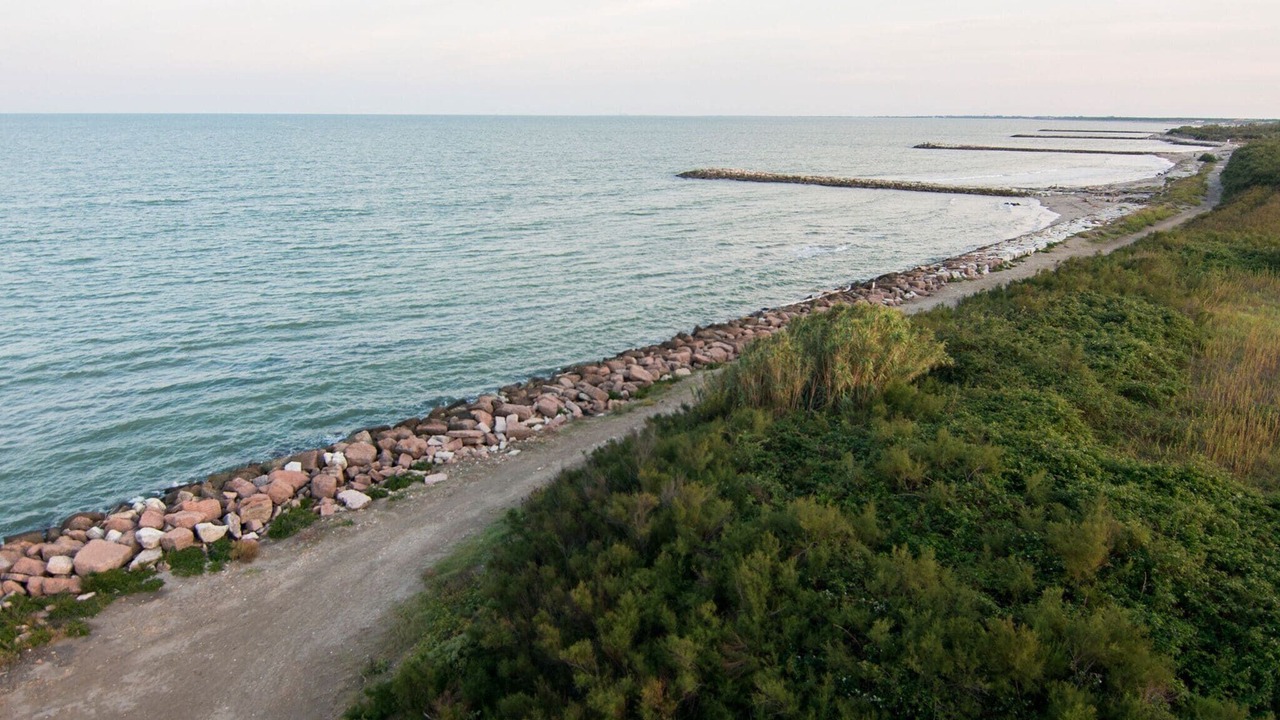 Photo of Outdoor in Rosolina Mare