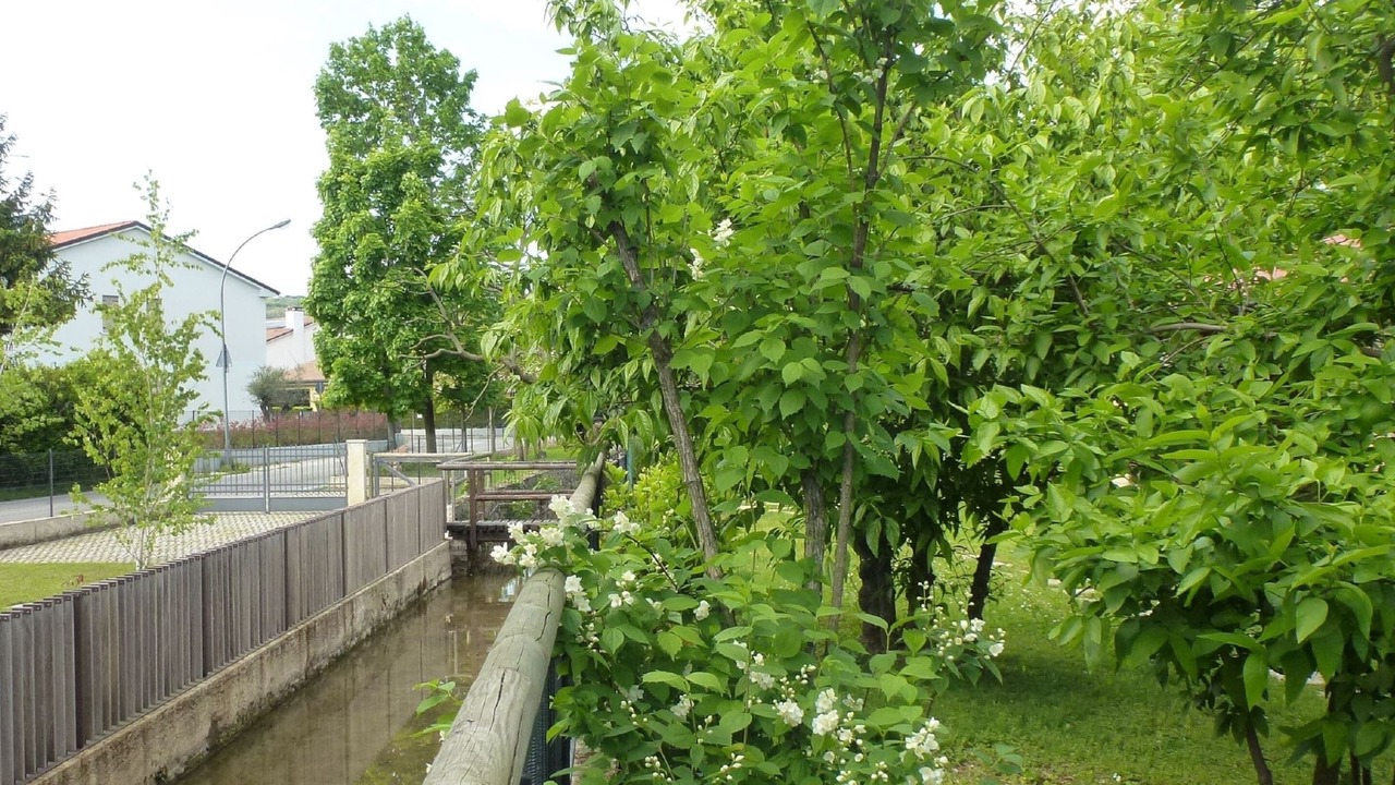 Photo of Outdoor in Volpago del Montello