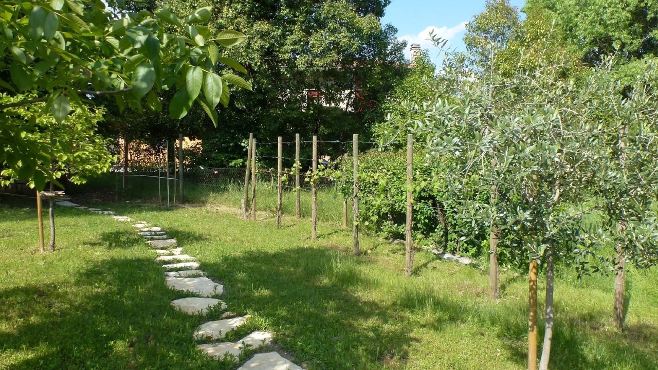 Photo of Outdoor in Volpago del Montello