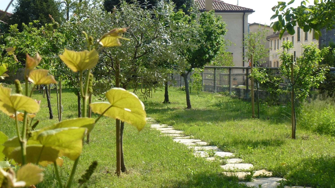 Photo of Outdoor in Volpago del Montello
