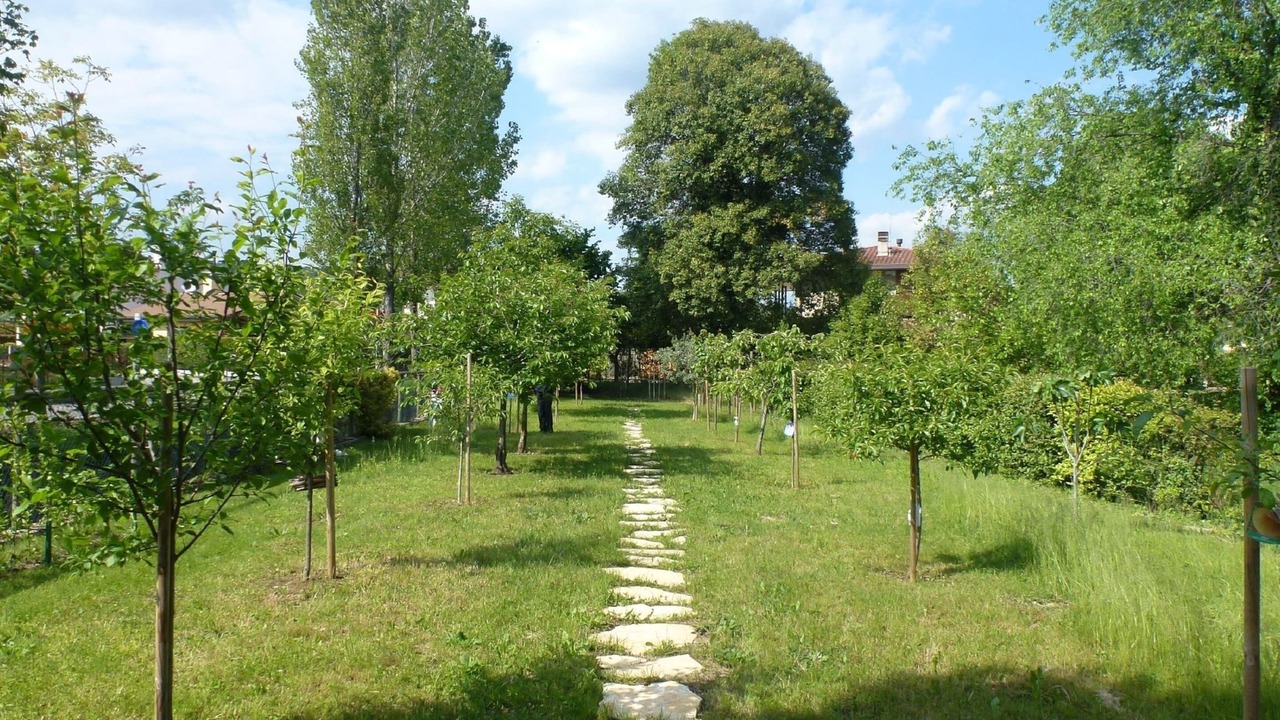 Photo of Outdoor in Volpago del Montello