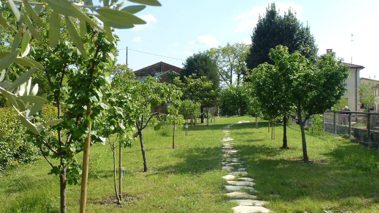 Photo of Outdoor in Volpago del Montello