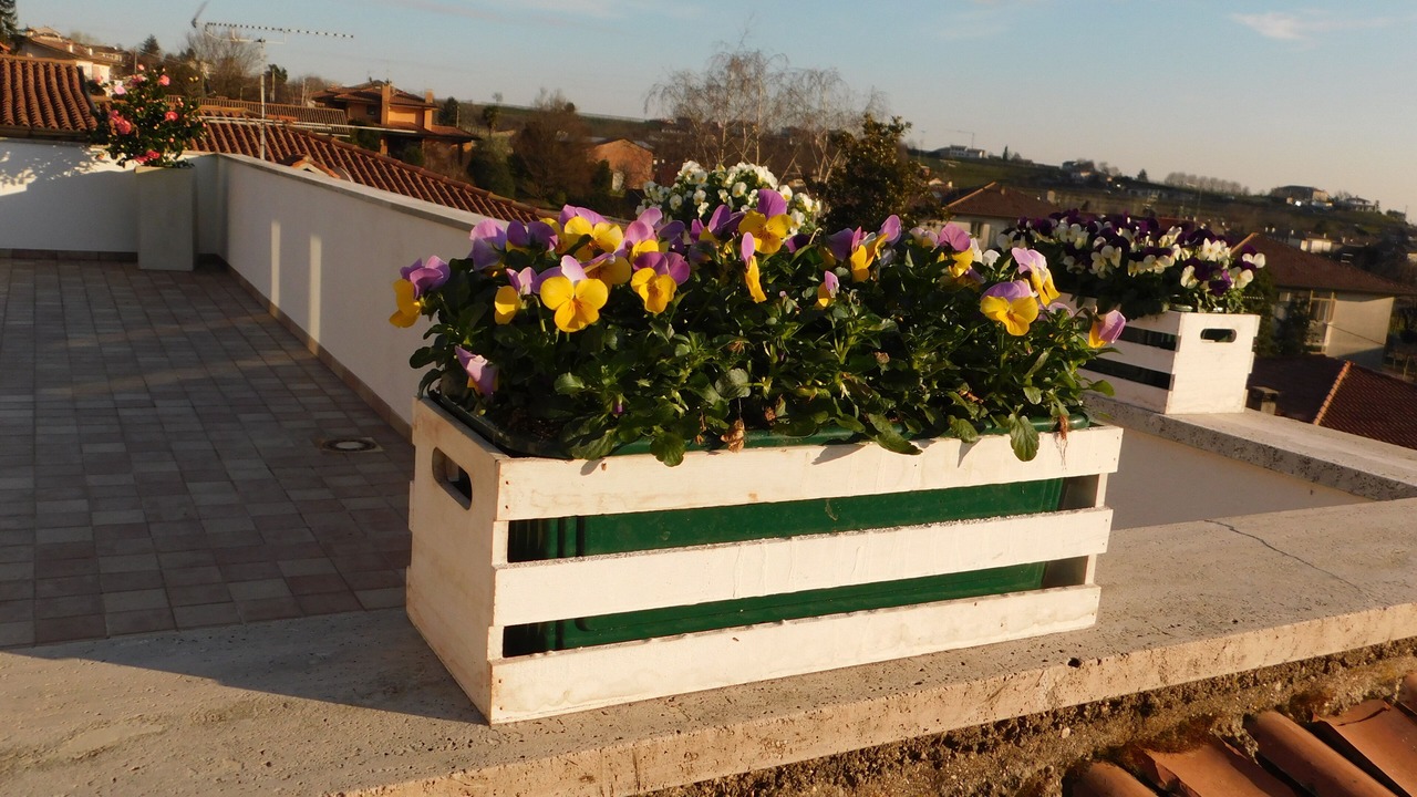 Photo of Outdoor in Valdobbiadene