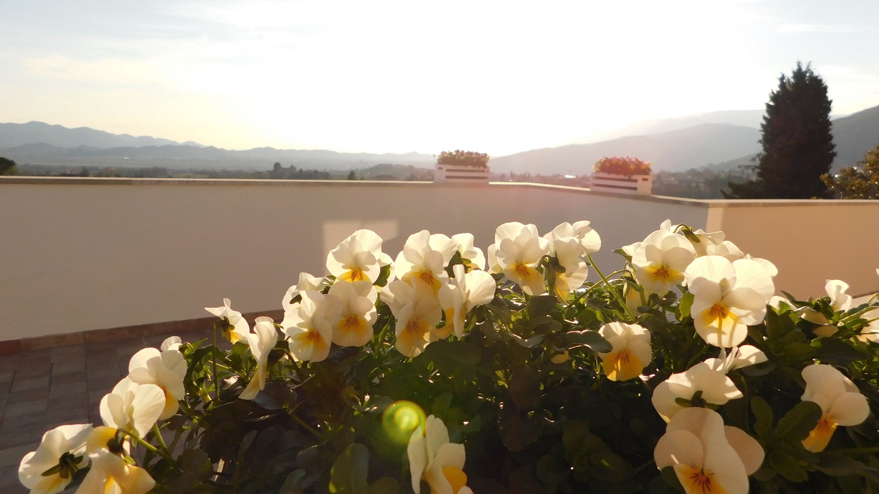Photo of Others in Valdobbiadene