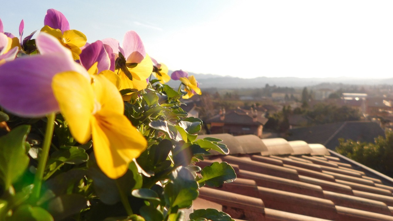 Photo of Outdoor in Valdobbiadene