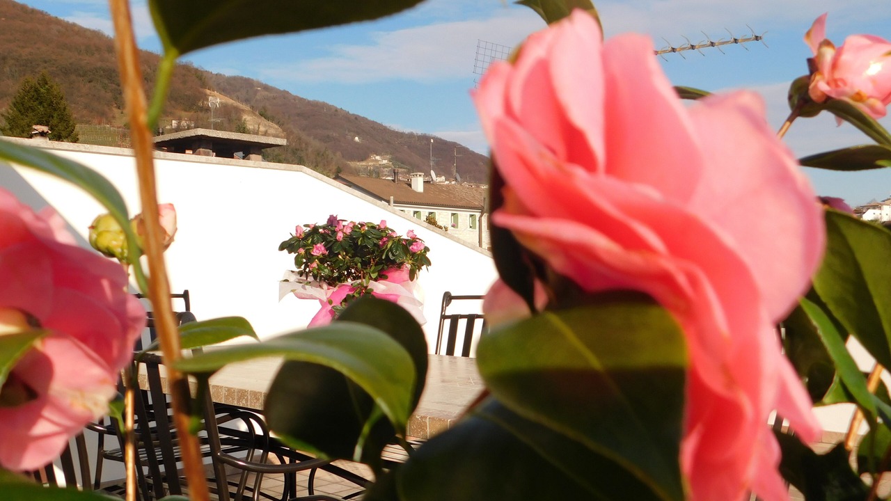 Photo of Outdoor in Valdobbiadene