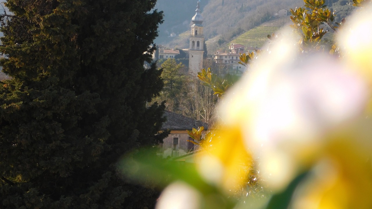 Photo of Outdoor in Valdobbiadene