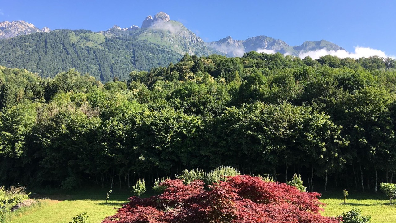 Photo of Outdoor in San Gregorio nelle Alpi