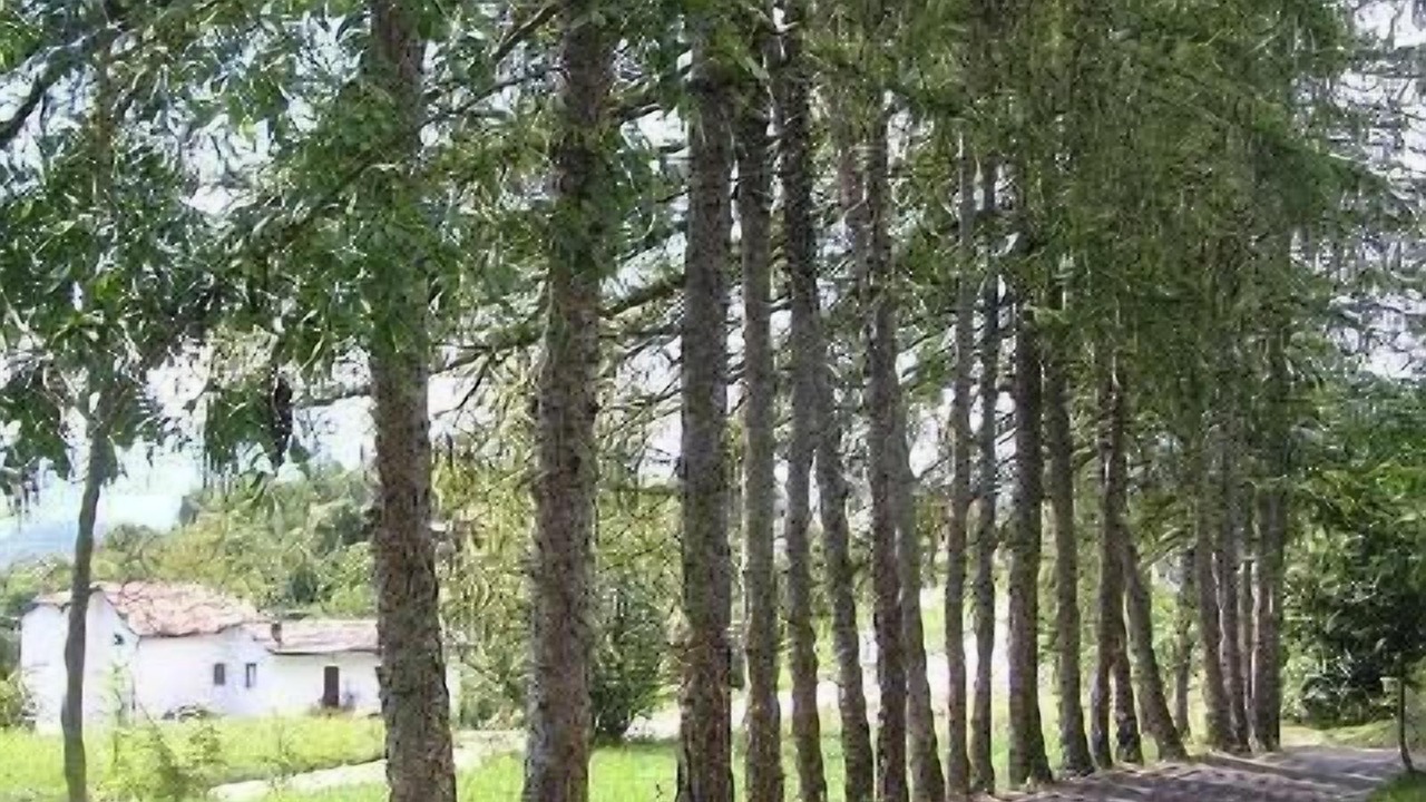 Photo of Outdoor in San Gregorio nelle Alpi