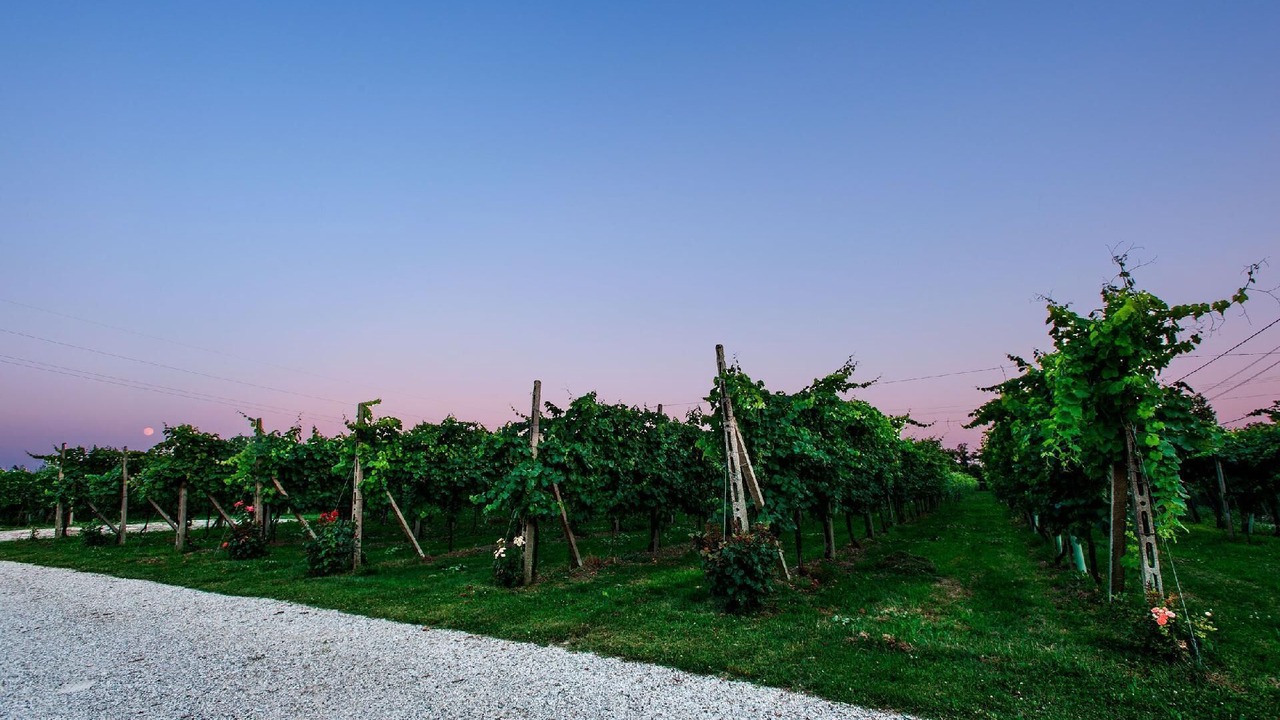 Photo of Outdoor in Silea
