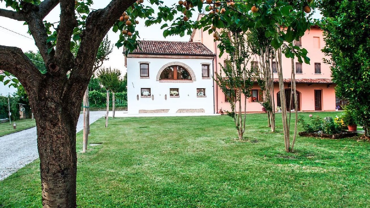 Photo of Outdoor in Silea