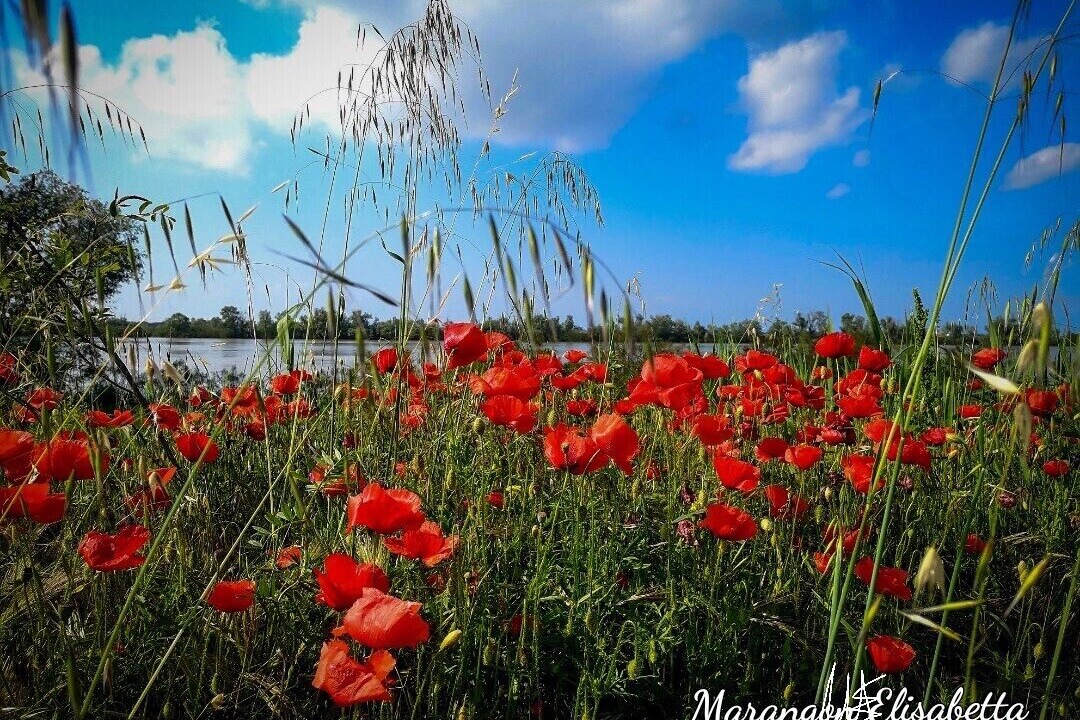 Photo of Outdoor in Porto Tolle