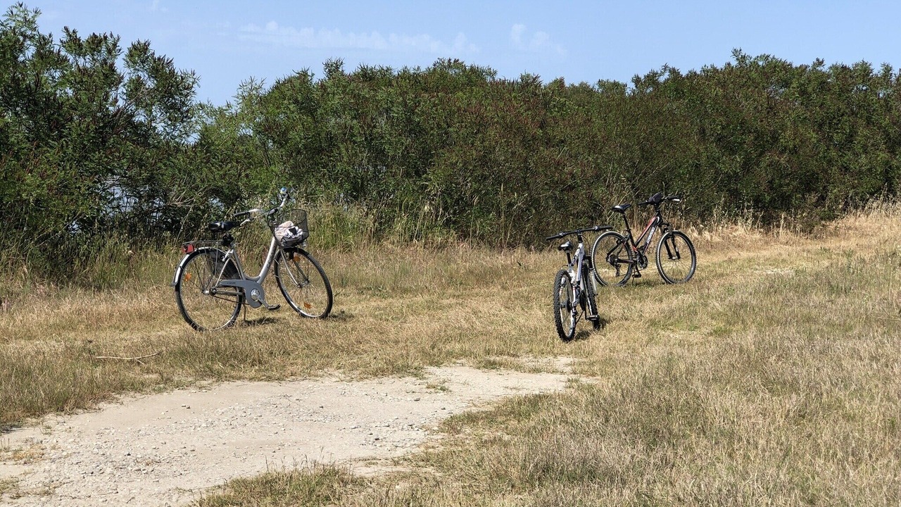 Photo of Others in Porto Tolle